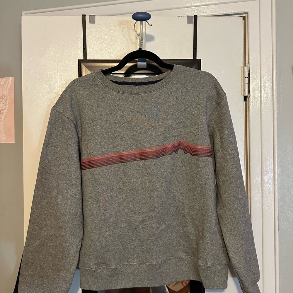 Patagonia sweatshirt